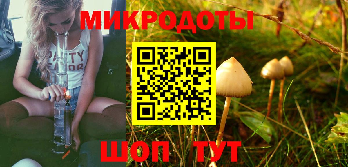 Псилоцибиновые грибы MAGIC MUSHROOMS Карпинск