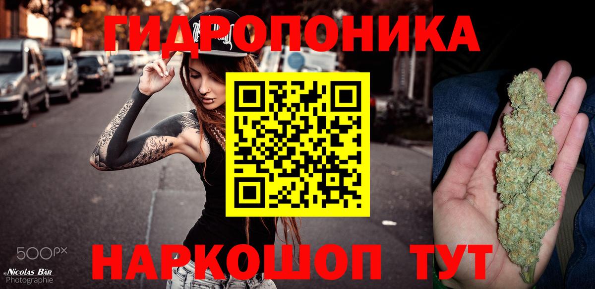 Каннабис планчик  Конопля гибрид  Карпинск  Марихуана конопля  Шишки марихуана Bruce Banner  Вход с VPN 